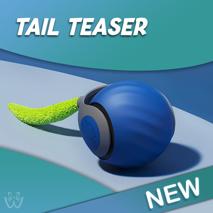 Whispurr™ - Tail Teaser