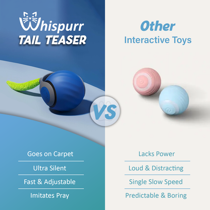 Whispurr™ - Tail Teaser